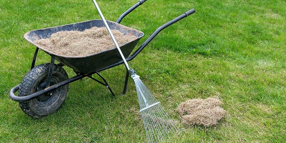 Spring Clean up Charlotte NC