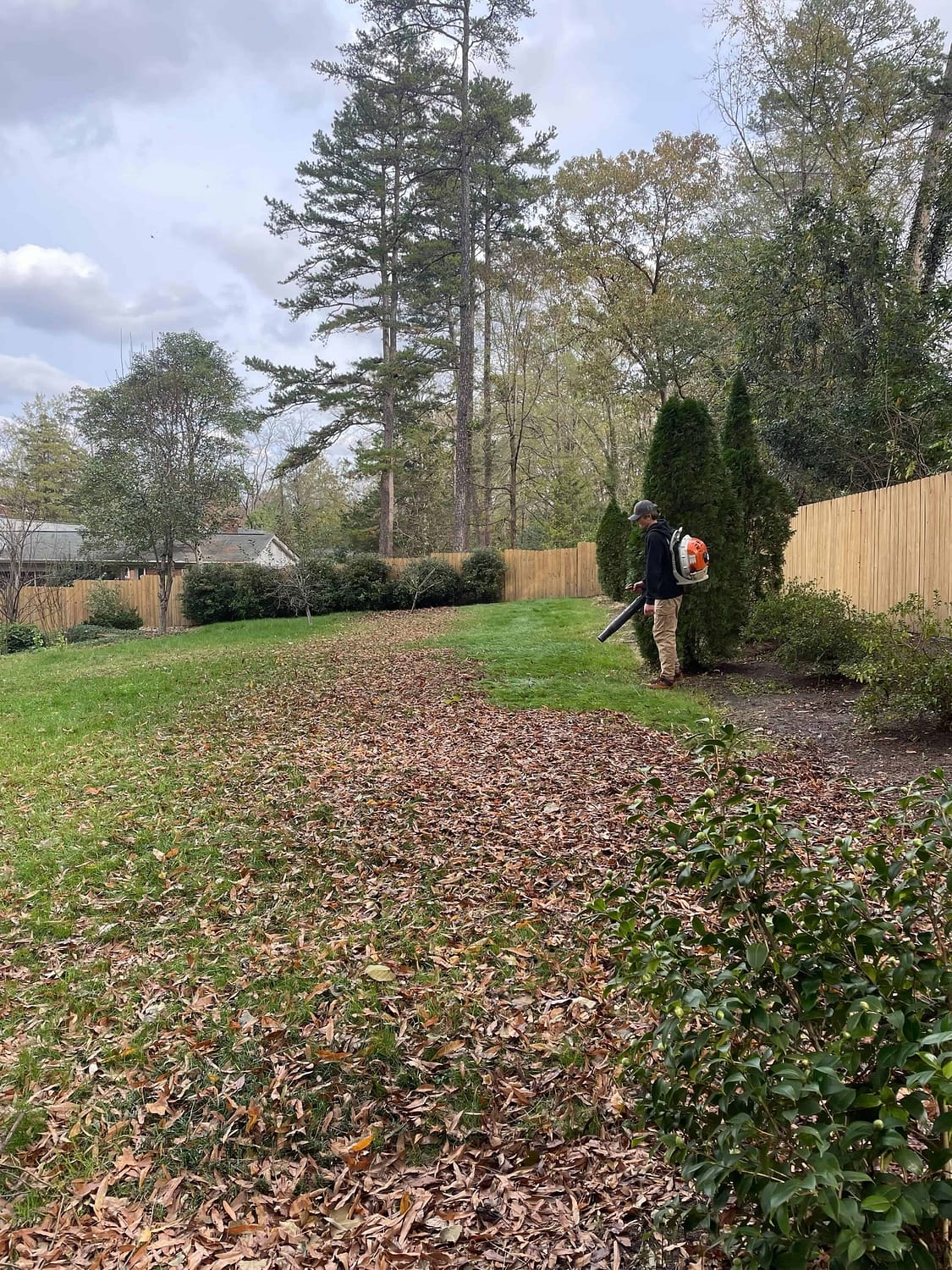 Leaf Removal Indian Trail NC