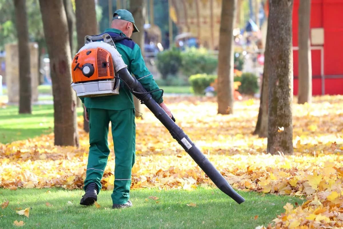 Leaf Removal service Charlotte NC