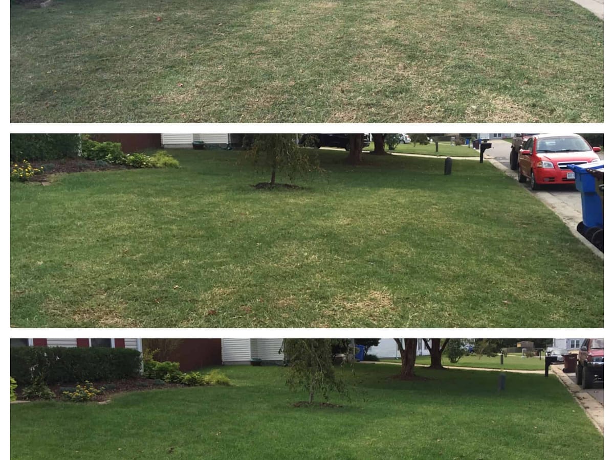 Over seeding Charlotte NC