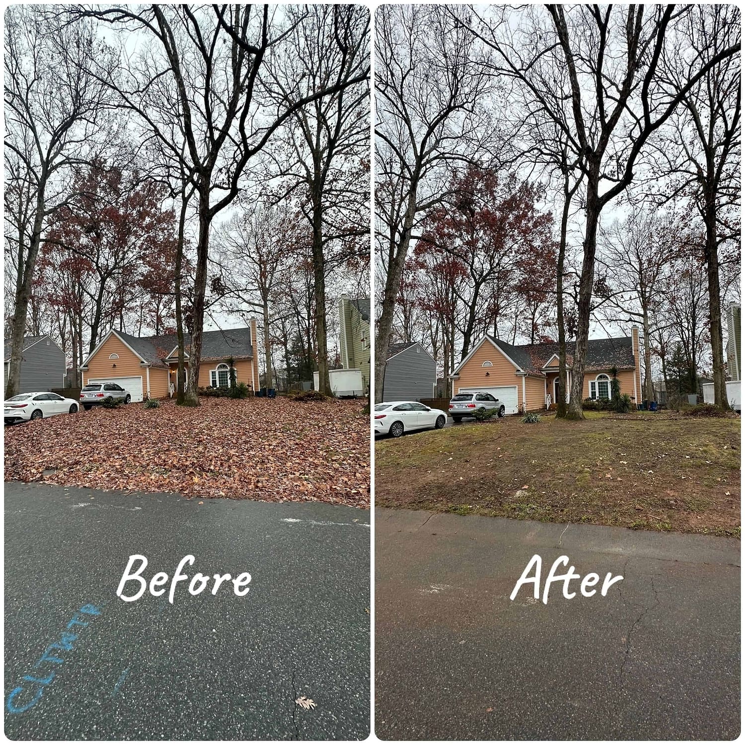 Leaf Cleanup Indian trail NC