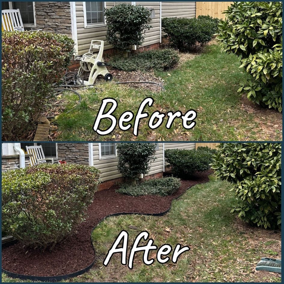 before and after Mulching in Indian Trail NC - Signature lawn and landscape