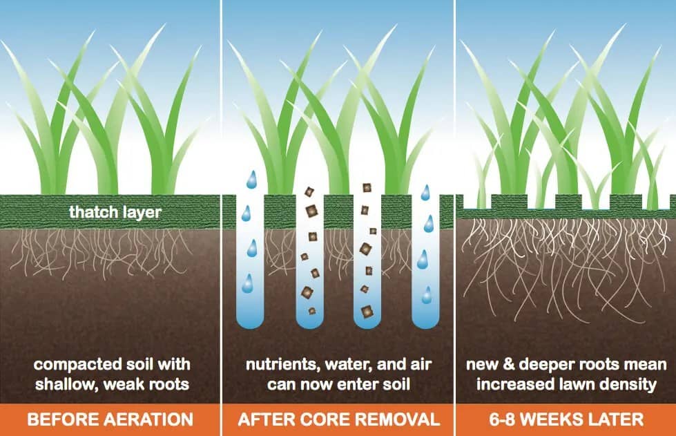 Lawn Aeration Charlotte NC